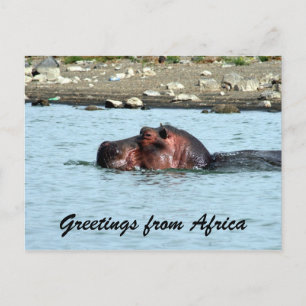 Postal saludos de hippo