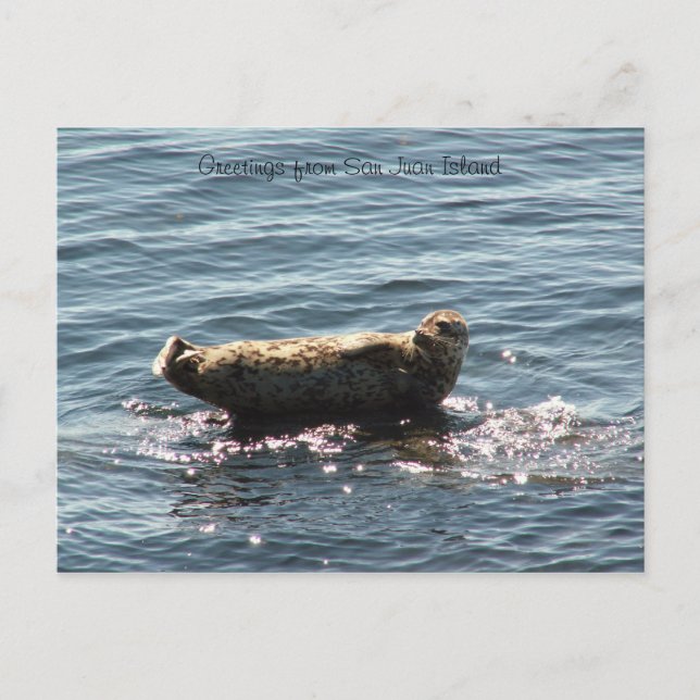 Postal Saludos de la isla de San Juan (Anverso)