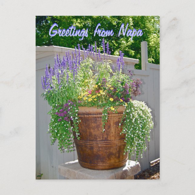Postal Saludos de Napa con flores de primavera (Anverso)