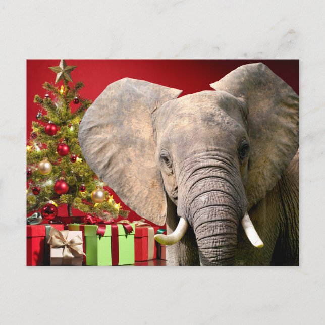 Postal Saludos de Navidad para elefantes (Anverso)