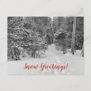 Postal ¡Saludos de nieve desde la ciudad de Tahoe!