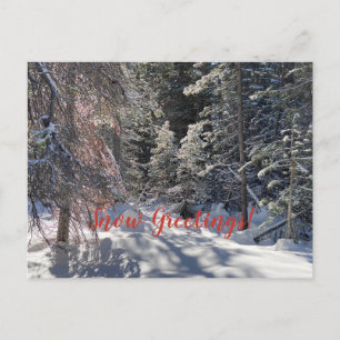 Postal ¡Saludos de nieve desde la ciudad de Tahoe!