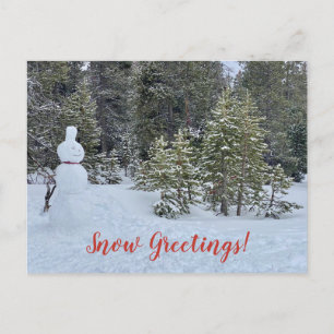 Postal ¡Saludos de nieve desde la ciudad de Tahoe!