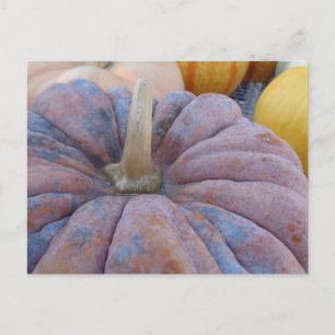 Postal ¡Saludos de otoño!