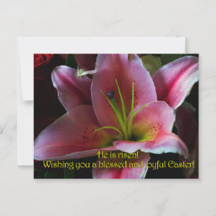 POSTAL SALUDOS DE PASCUA