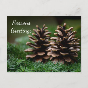 Postal Saludos de Pine Cone Seasons
