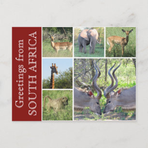 Postal saludos de sudáfrica