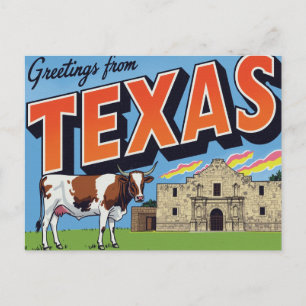 Postal Saludos de Vaca Longhorn del Alamo de Texas