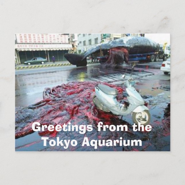 Postal Saludos del acuario de Tokio (Anverso)