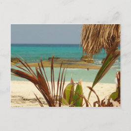 Postal ¡Saludos del paraíso!