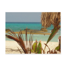 ¡Saludos del paraíso!