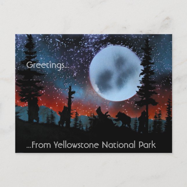 Postal Saludos ...... del parque nacional de Yellowstone (Anverso)