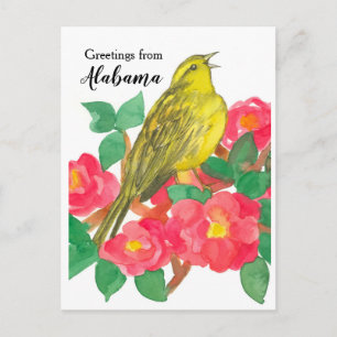 Postal Saludos desde Alabama Yellowhammer Camellia