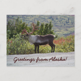 Postal ¡Saludos desde Alaska!
