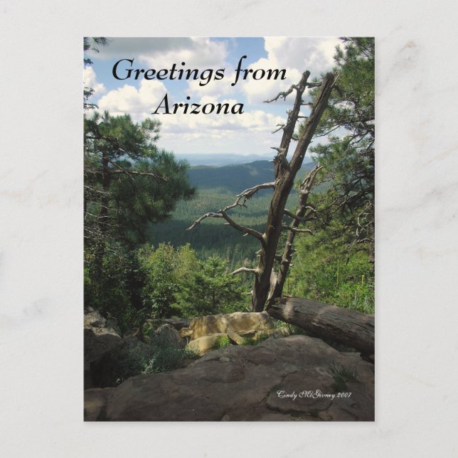 Postal Saludos desde Arizona (Anverso)