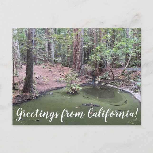 Postal Saludos desde California: Bathe Redwood Forest (Anverso)