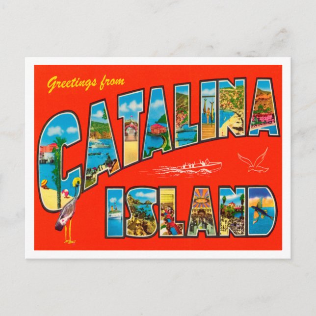 Postal Saludos desde Catalina Island, California Travel (Anverso)