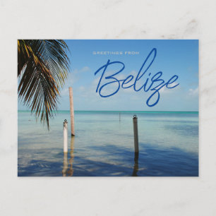 Postal Saludos desde Caulker Caye Belice