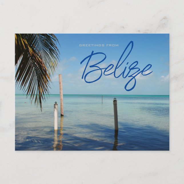Postal Saludos desde Caulker Caye Belice (Anverso)