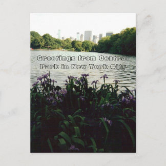 Postal Saludos desde Central Park en la ciudad de Nueva Y