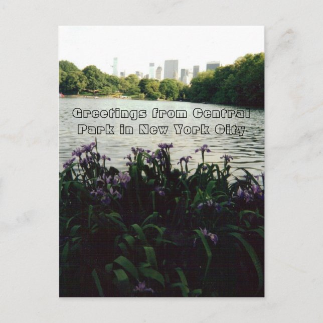 Postal Saludos desde Central Park en la ciudad de Nueva Y (Anverso)