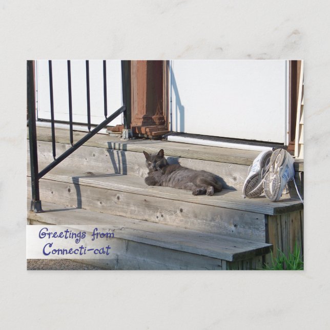 Postal Saludos desde Connecticut Cat (Connecti-cat) (Anverso)