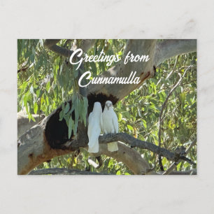 Postal Saludos desde Cunnamulla