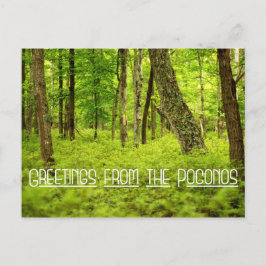 Postal Saludos desde el Bosque de Verano de Poconos