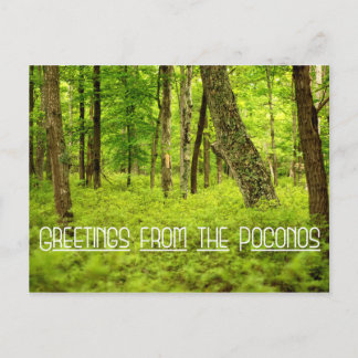 Postal Saludos desde el Bosque de Verano de Poconos