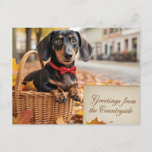 Postal "Saludos desde el campo" Dachshund
