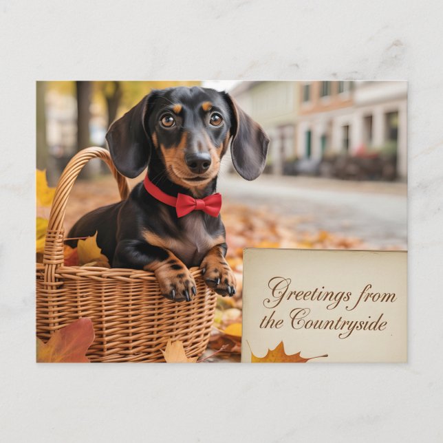 Postal "Saludos desde el campo" Dachshund  (Anverso)