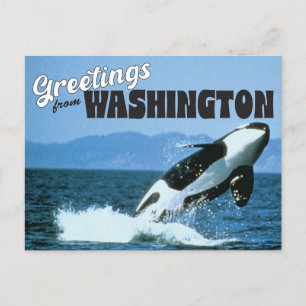Postal Saludos desde el estado de Washington con Orca Wha