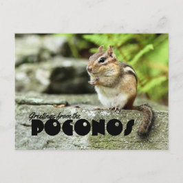 Postal Saludos desde el mischievoso Chipmunk Poconos