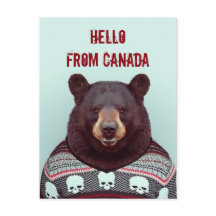 Saludos desde el oso