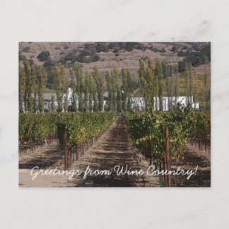 Postal ¡Saludos desde el País Vino!