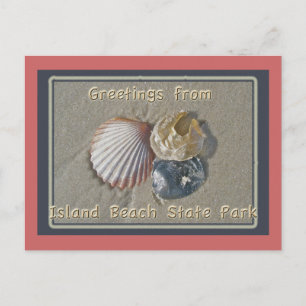 Postal Saludos desde el Parque Marítimo IBSP NJ