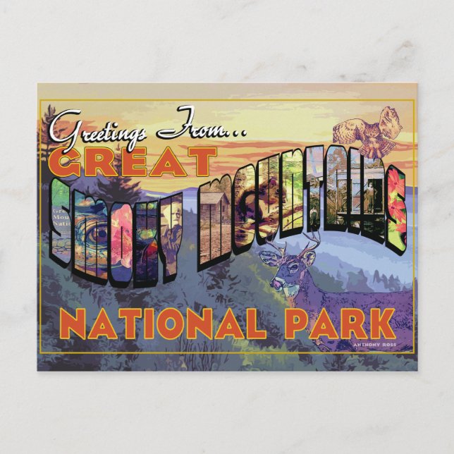 Postal Saludos desde el Parque Nacional Great Smoky Mount (Anverso)
