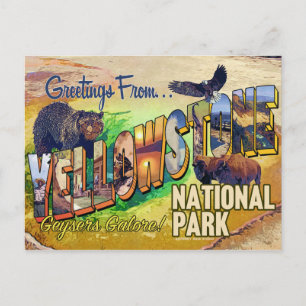 Postal Saludos desde el Parque Nacional Yellowstone