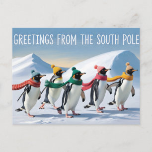 Postal "Saludos desde el Polo Sur" Diseño de Pingüino