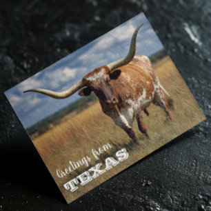 Postal Saludos desde el toro Longhorn de Texas