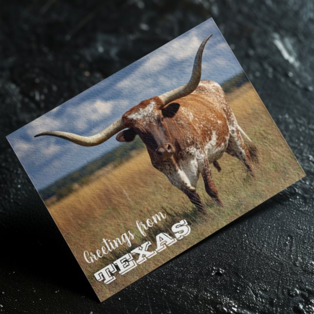 Postal Saludos desde el toro Longhorn de Texas (Subido por el creador)