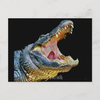 Postal Saludos desde Florida