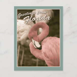 Postal Saludos desde Florida