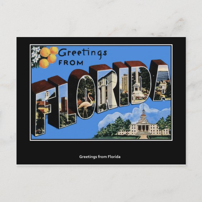 Postal Saludos desde Florida (Anverso)