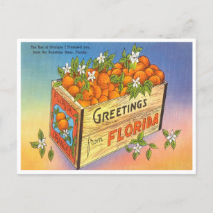 Postal Saludos desde Florida Naranja Vintage Travel