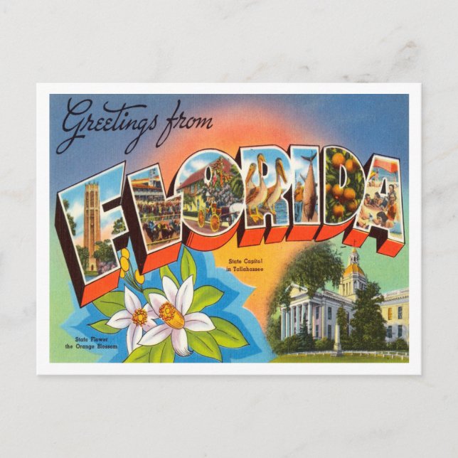 Postal Saludos desde Florida Vintage Travel (Anverso)