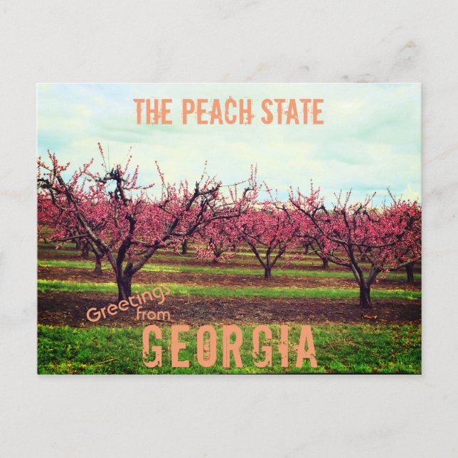 Postal Saludos desde Georgia Peach Orchard (Anverso)
