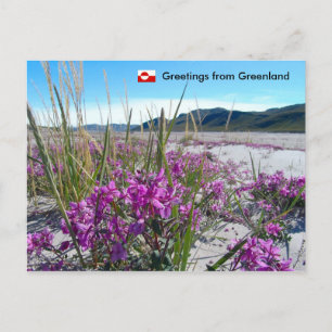 Postal Saludos desde Groenlandia 5