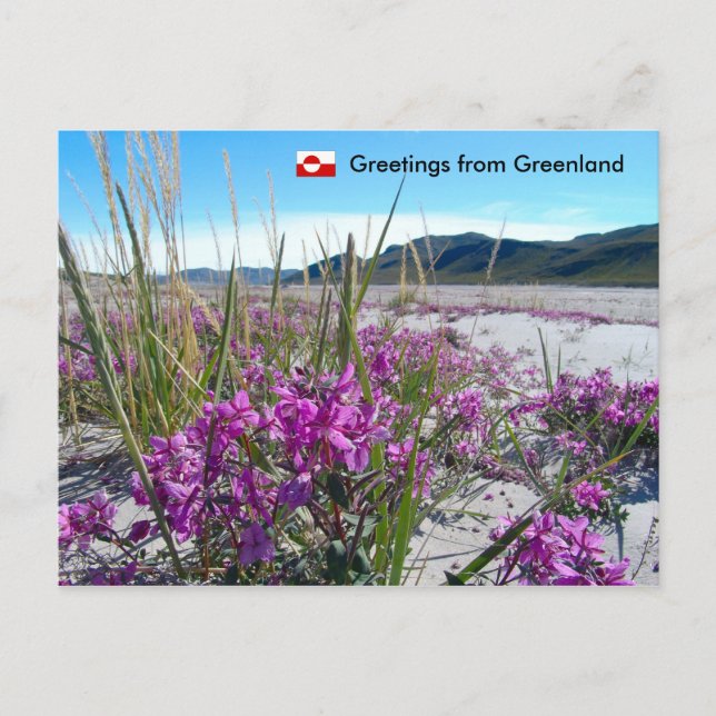Postal Saludos desde Groenlandia 5 (Anverso)