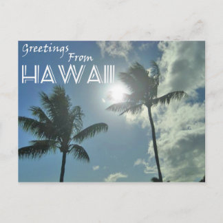 Postal Saludos Desde Hawaii - Palmeras